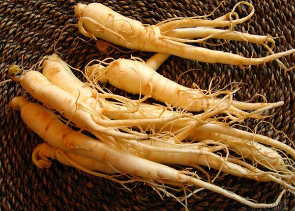 Bác Sĩ Trần Trung