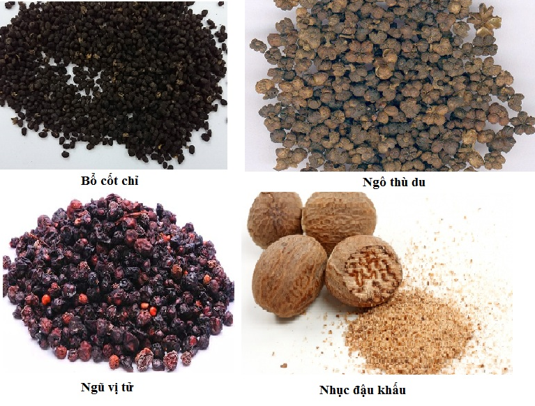 Bác Sĩ Trần Trung